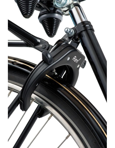 Axa ringslot Ren2