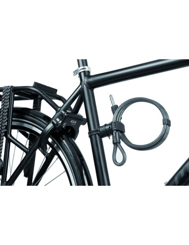 Axa insteekkabel RLE 10/150