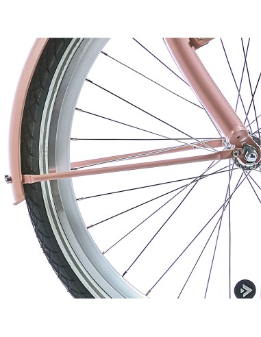 Alpina spatbordstang set 24 Clubb desert pink matt