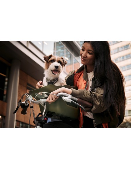 Kvisp hondenfietsmand met harnas M forest green