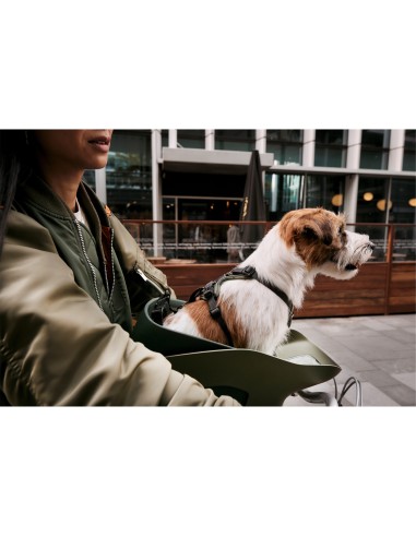 Kvisp hondenfietsmand met harnas M midnight gray