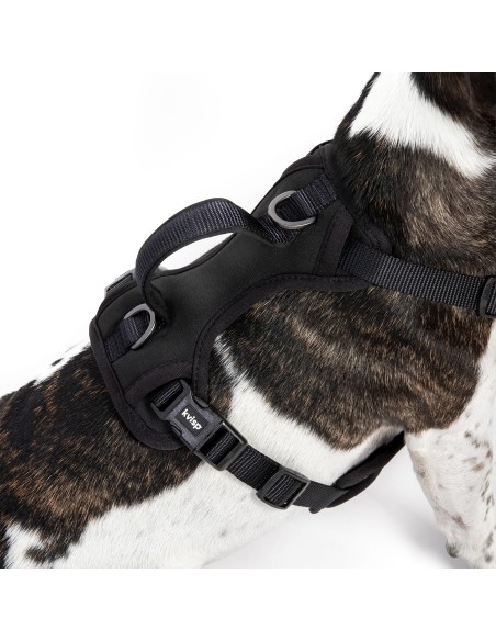 Kvisp veiligheidstuigje maat M zwart