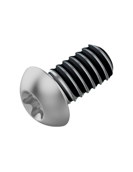 Fahrwerker remschijf bout M5x10 LEV tl (120 stuks)
