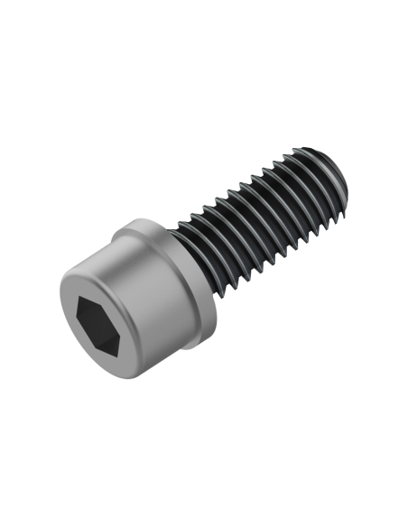 Fahrwerker remadapter bout M6x18 LEV tl (100 stuks)