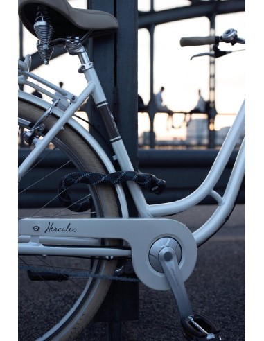 Abus kettingslot Ivera Chain 7210/110